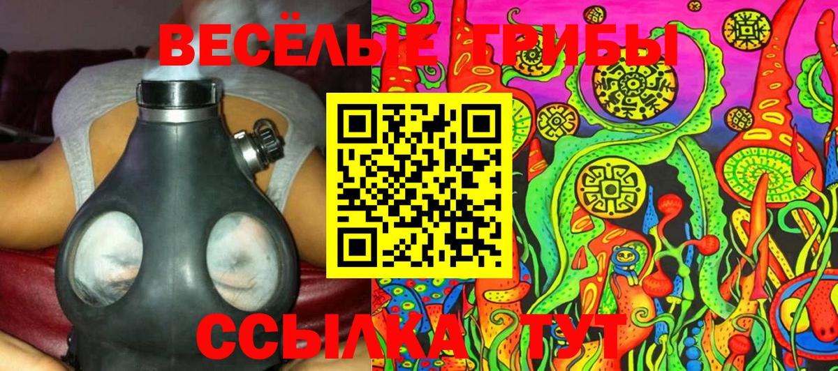 Димитровград  Галлюциногенные грибы Magic Shrooms  Вход с VPN 