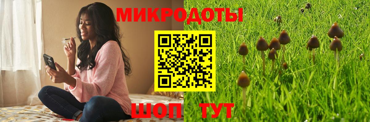 Галлюциногенные грибы Psilocybe Димитровград